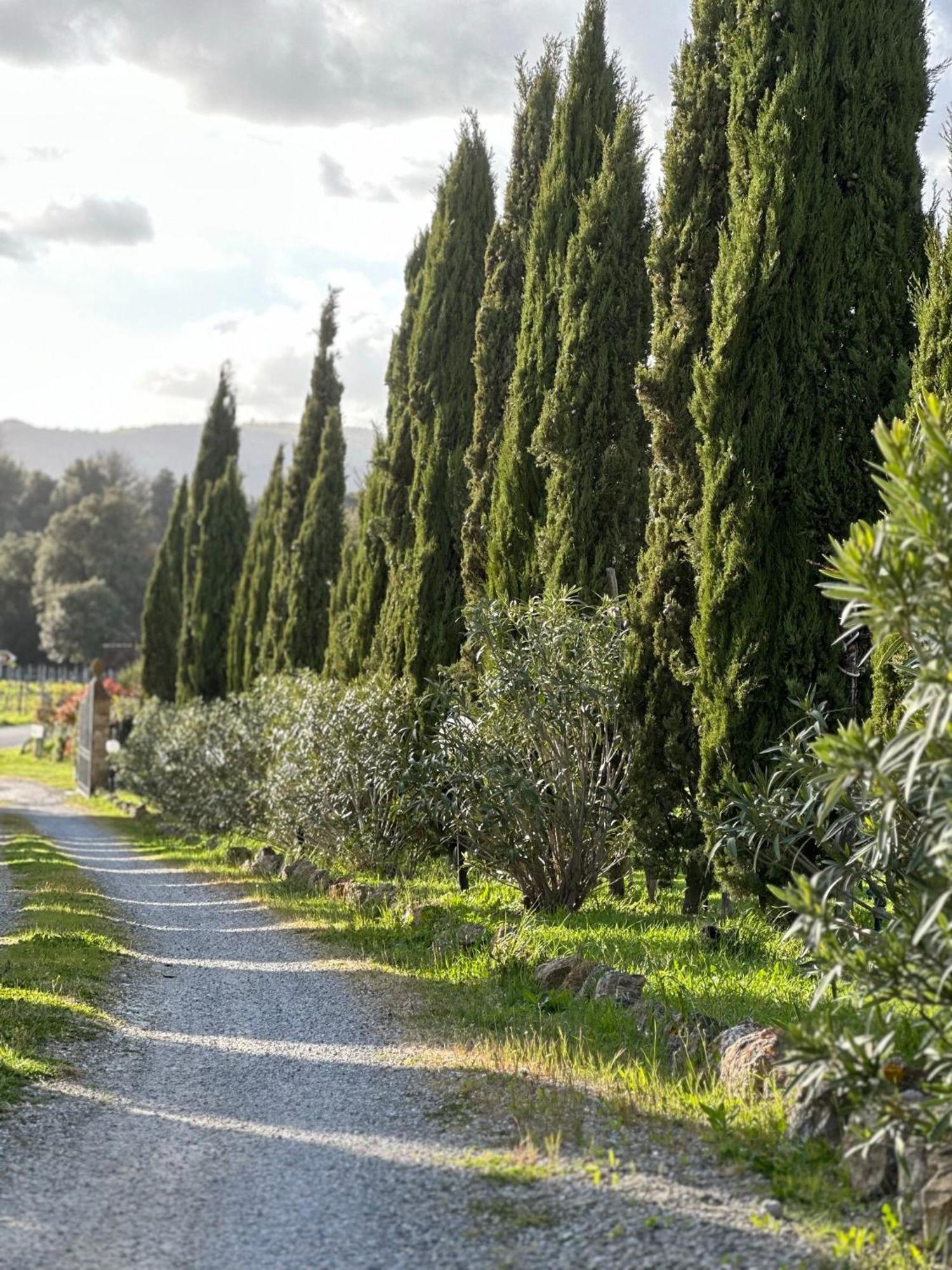 Antico Borgo Il Cardino Bed and Breakfast San Gimignano Exteriör bild